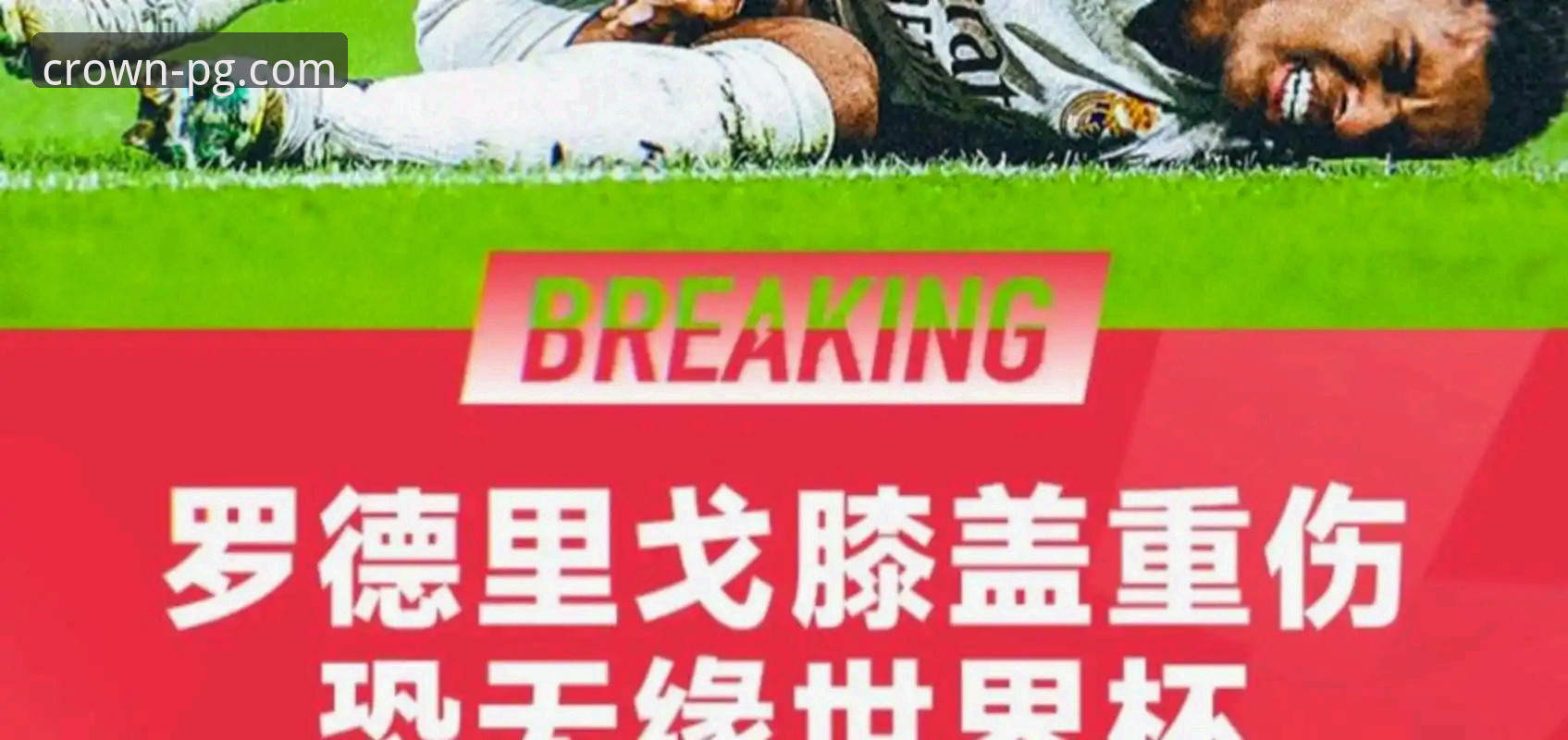 帕尼切利伤别世界杯：战术缺失与球星命运的深度解析