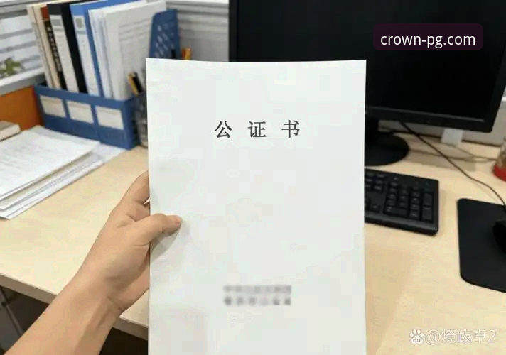 问鼎中国官网下载 vs 第三方渠道：安全性与便捷性的全面对比