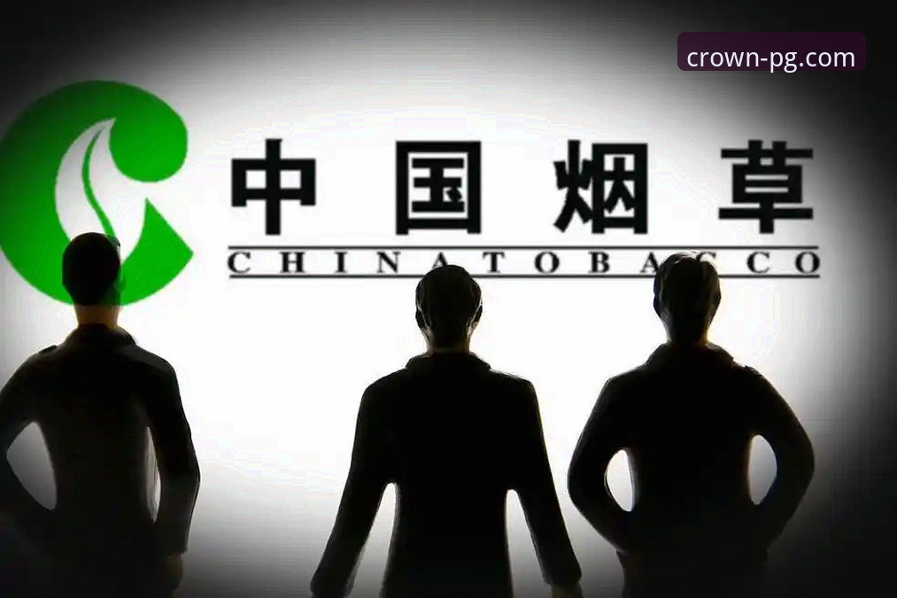 问鼎中国手机访问到底值不值？深度评测揭秘真相